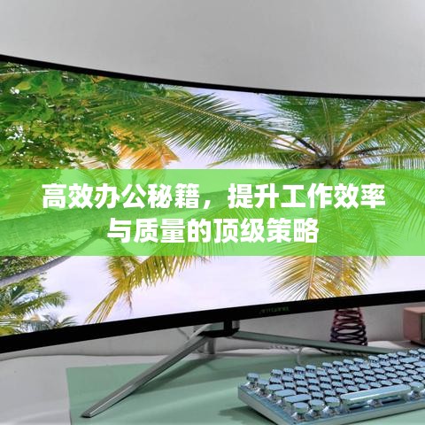 高效辦公秘籍，提升工作效率與質(zhì)量的頂級策略