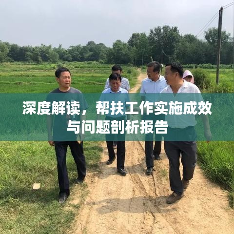 深度解讀，幫扶工作實(shí)施成效與問題剖析報(bào)告