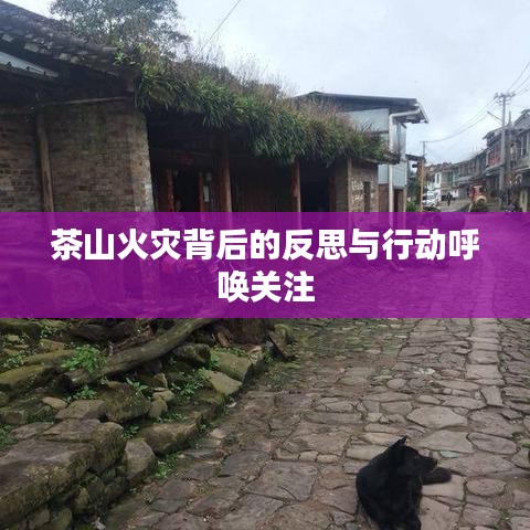 茶山火災(zāi)背后的反思與行動呼喚關(guān)注
