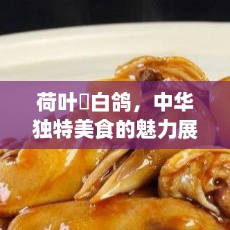 荷葉焗白鴿，中華獨(dú)特美食的魅力展現(xiàn)