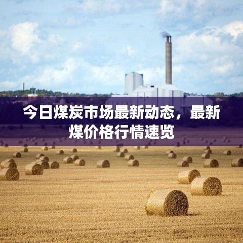 今日煤炭市場最新動態(tài)，最新煤價(jià)格行情速覽