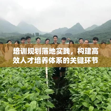培訓(xùn)規(guī)劃落地實(shí)踐，構(gòu)建高效人才培養(yǎng)體系的關(guān)鍵環(huán)節(jié)