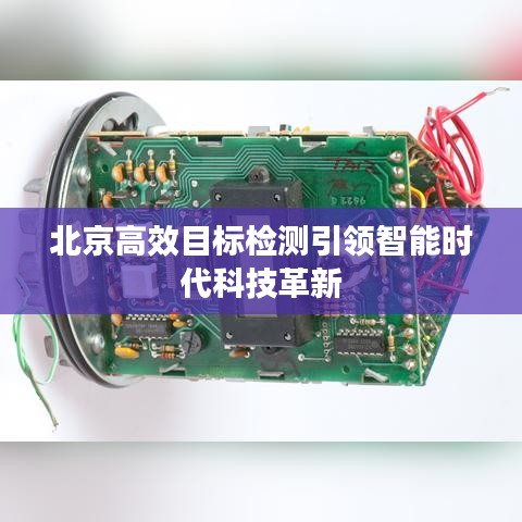 小鳥伊人 第2頁