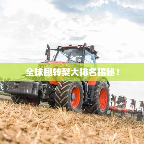 全球翻轉(zhuǎn)梨大排名揭秘！