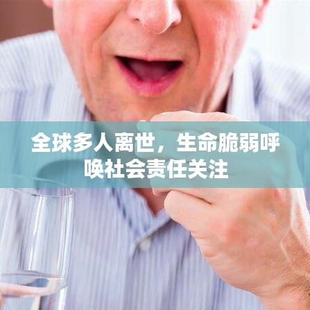 全球多人離世，生命脆弱呼喚社會責(zé)任關(guān)注