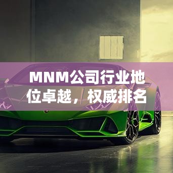 MNM公司行業(yè)地位卓越，權(quán)威排名揭曉！