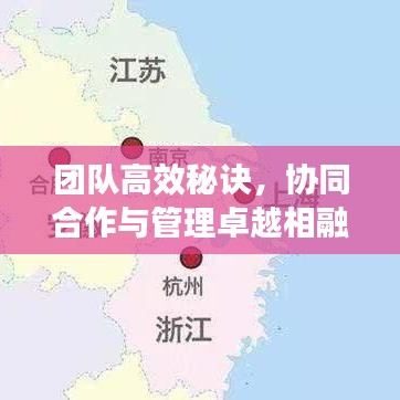 團隊高效秘訣，協(xié)同合作與管理卓越相融合