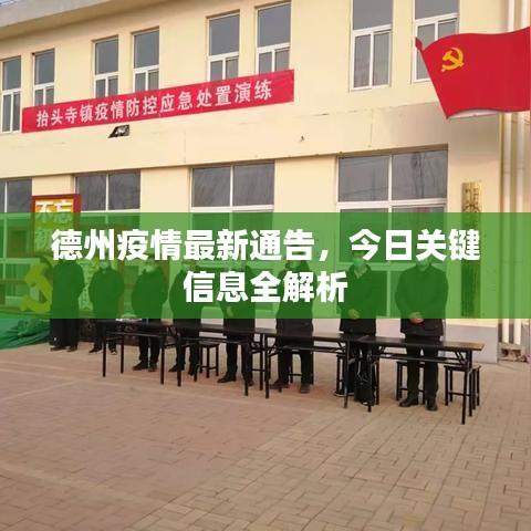 德州疫情最新通告，今日關鍵信息全解析