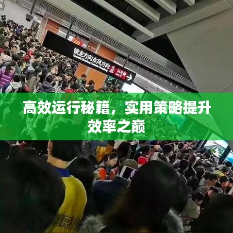 高效運(yùn)行秘籍，實(shí)用策略提升效率之巔