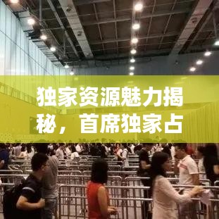 獨(dú)家資源魅力揭秘，首席獨(dú)家占有下載全攻略
