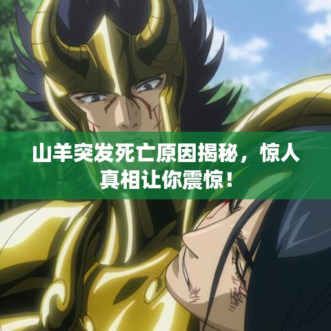 山羊突發(fā)死亡原因揭秘，驚人真相讓你震驚！