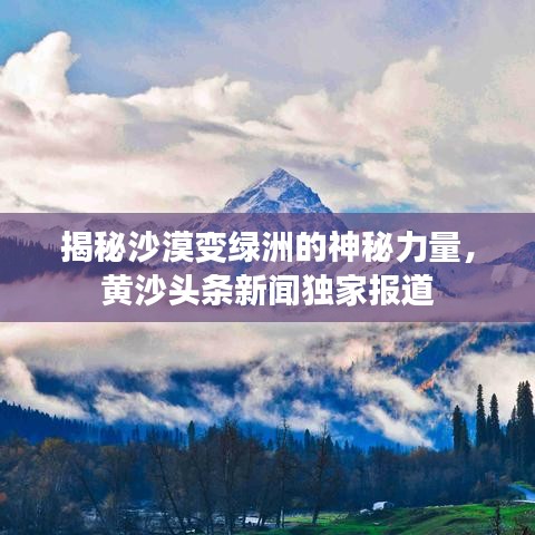 揭秘沙漠變綠洲的神秘力量，黃沙頭條新聞獨(dú)家報(bào)道