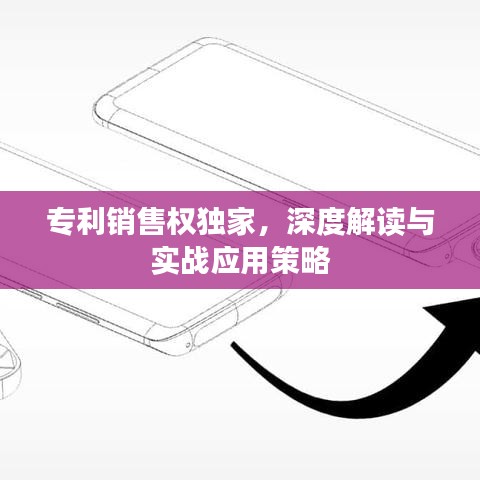 專利銷售權(quán)獨(dú)家，深度解讀與實(shí)戰(zhàn)應(yīng)用策略