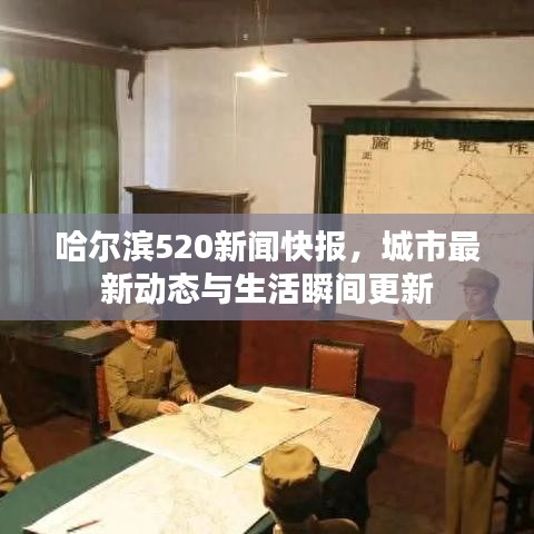 哈爾濱520新聞快報，城市最新動態(tài)與生活瞬間更新