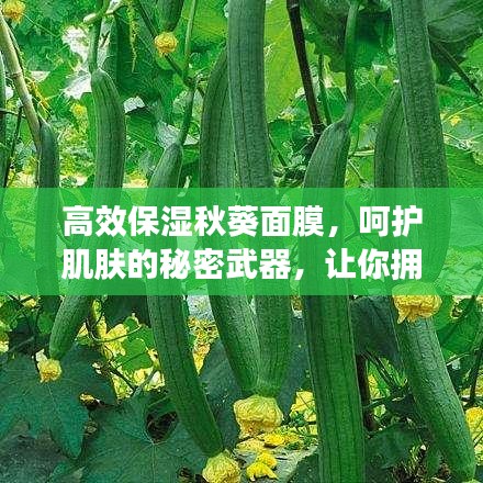蜎飛蠢動(dòng) 第2頁(yè)