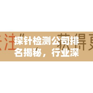 探針檢測(cè)公司排名揭秘，行業(yè)深度分析與趨勢(shì)預(yù)測(cè)