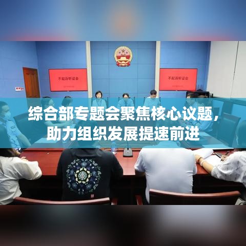 綜合部專題會(huì)聚焦核心議題，助力組織發(fā)展提速前進(jìn)