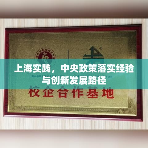 上海實(shí)踐，中央政策落實(shí)經(jīng)驗(yàn)與創(chuàng)新發(fā)展路徑