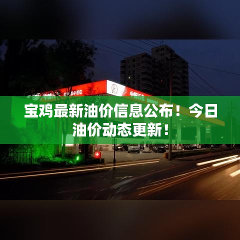 寶雞最新油價信息公布！今日油價動態(tài)更新！