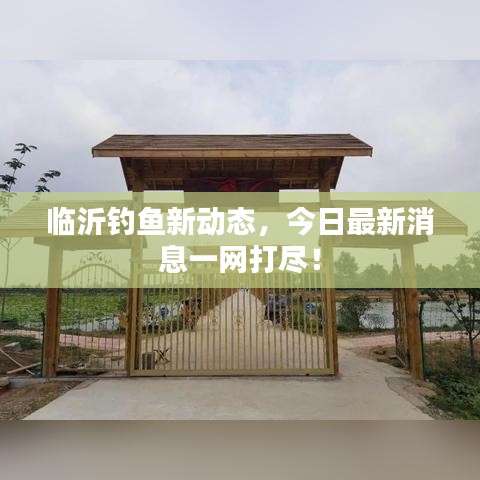 臨沂釣魚新動態(tài)，今日最新消息一網(wǎng)打盡！