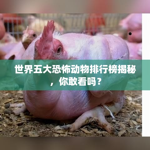 世界五大恐怖動(dòng)物排行榜揭秘，你敢看嗎？