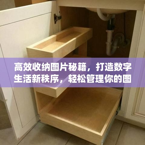 高效收納圖片秘籍，打造數(shù)字生活新秩序，輕松管理你的圖片世界！