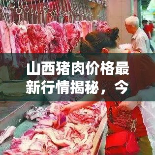 山西豬肉價(jià)格最新行情揭秘，今日市場(chǎng)走勢(shì)分析