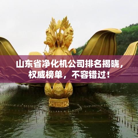 山東省凈化機(jī)公司排名揭曉，權(quán)威榜單，不容錯過！