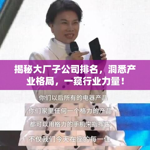 揭秘大廠子公司排名，洞悉產(chǎn)業(yè)格局，一窺行業(yè)力量！