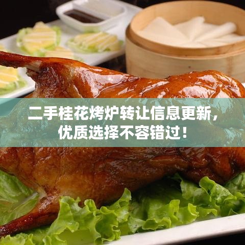 二手桂花烤爐轉(zhuǎn)讓信息更新，優(yōu)質(zhì)選擇不容錯過！