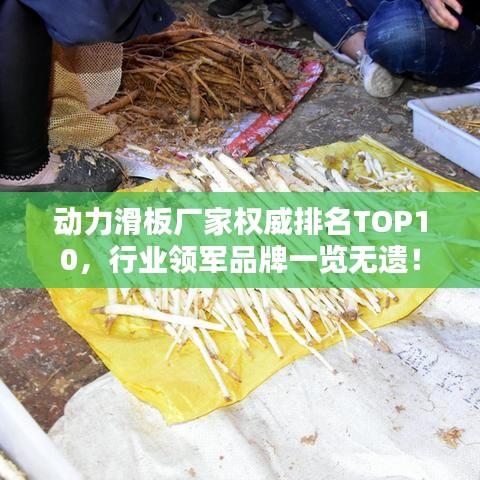 動力滑板廠家權(quán)威排名TOP10，行業(yè)領(lǐng)軍品牌一覽無遺！