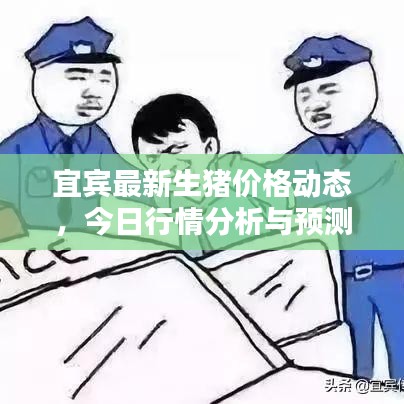 宜賓最新生豬價格動態(tài)，今日行情分析與預測