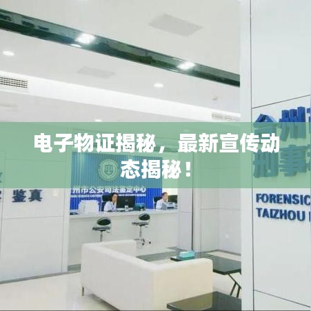 電子物證揭秘，最新宣傳動態(tài)揭秘！