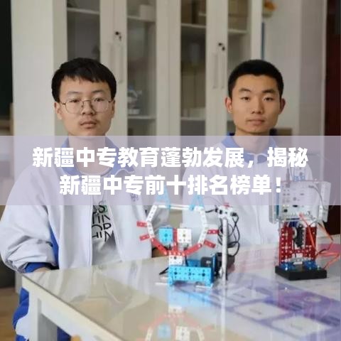 新疆中專(zhuān)教育蓬勃發(fā)展，揭秘新疆中專(zhuān)前十排名榜單！