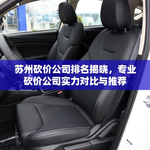 蘇州砍價(jià)公司排名揭曉，專(zhuān)業(yè)砍價(jià)公司實(shí)力對(duì)比與推薦