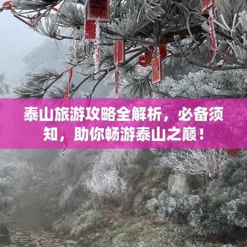 泰山旅游攻略全解析，必備須知，助你暢游泰山之巔！