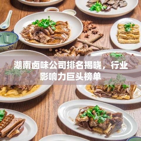 湖南鹵味公司排名揭曉，行業(yè)影響力巨頭榜單