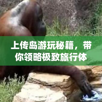 上傳島游玩秘籍，帶你領(lǐng)略極致旅行體驗(yàn)！