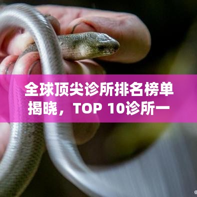 全球頂尖診所排名榜單揭曉，TOP 10診所一覽無余！