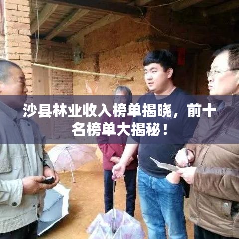 沙縣林業(yè)收入榜單揭曉，前十名榜單大揭秘！