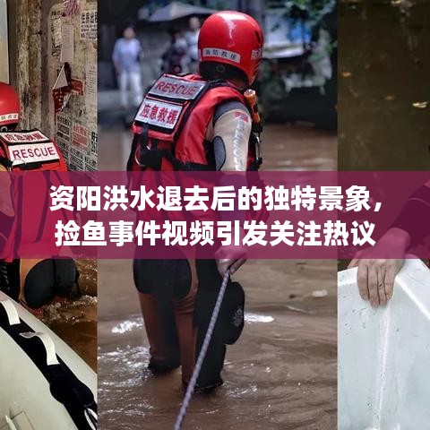 資陽(yáng)洪水退去后的獨(dú)特景象，撿魚事件視頻引發(fā)關(guān)注熱議