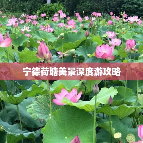 傷弓之鳥 第2頁
