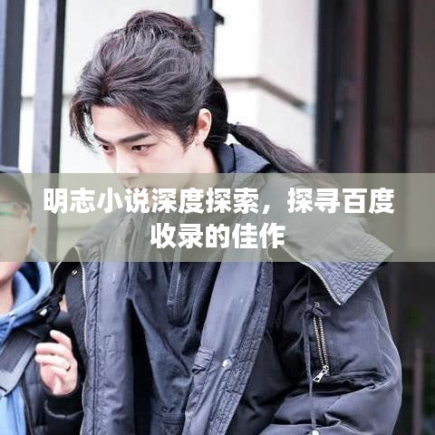 明志小說深度探索，探尋百度收錄的佳作