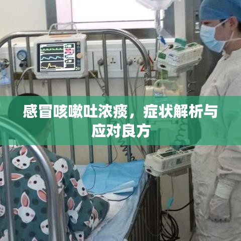 感冒咳嗽吐濃痰，癥狀解析與應(yīng)對良方
