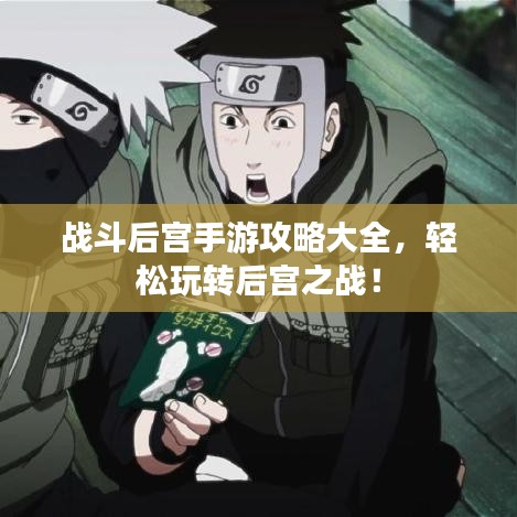 戰(zhàn)斗后宮手游攻略大全，輕松玩轉(zhuǎn)后宮之戰(zhàn)！